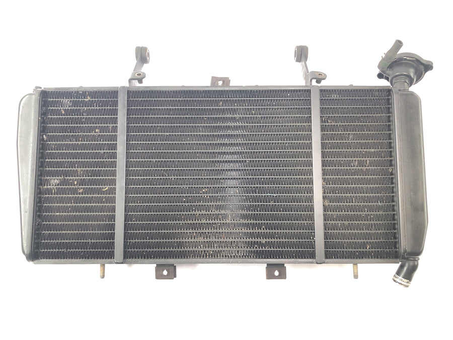 Triumph Sprint ST 1050 [2005] - water cooler cooler