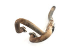 Honda XR 600 R PE04 [1993] - Manifold Exhaust-3