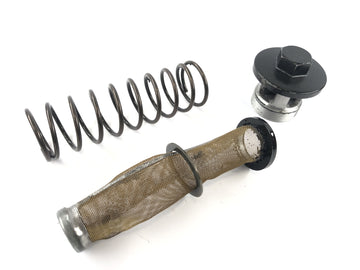 Kawasaki VN 1600 Mean Streak VNT60B [2005] - Oil strainer with cover and spring
