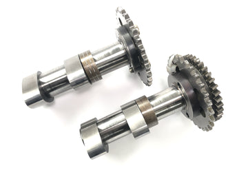 Aprilia RSV 1000 RP Mille [2001] - Camshaft set rear exhaust camshaft and intake camshaft rear cylinder