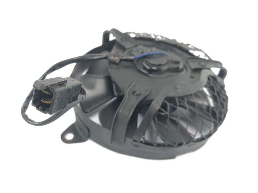 Yamaha XTZ 660 3YF [1992] - Lüfter Kühlerlüfter Elektrolüfter Kühlventilator