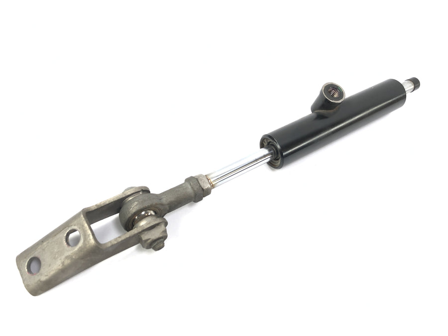 BMW K 1300 R K12S [2014] - Steering damper