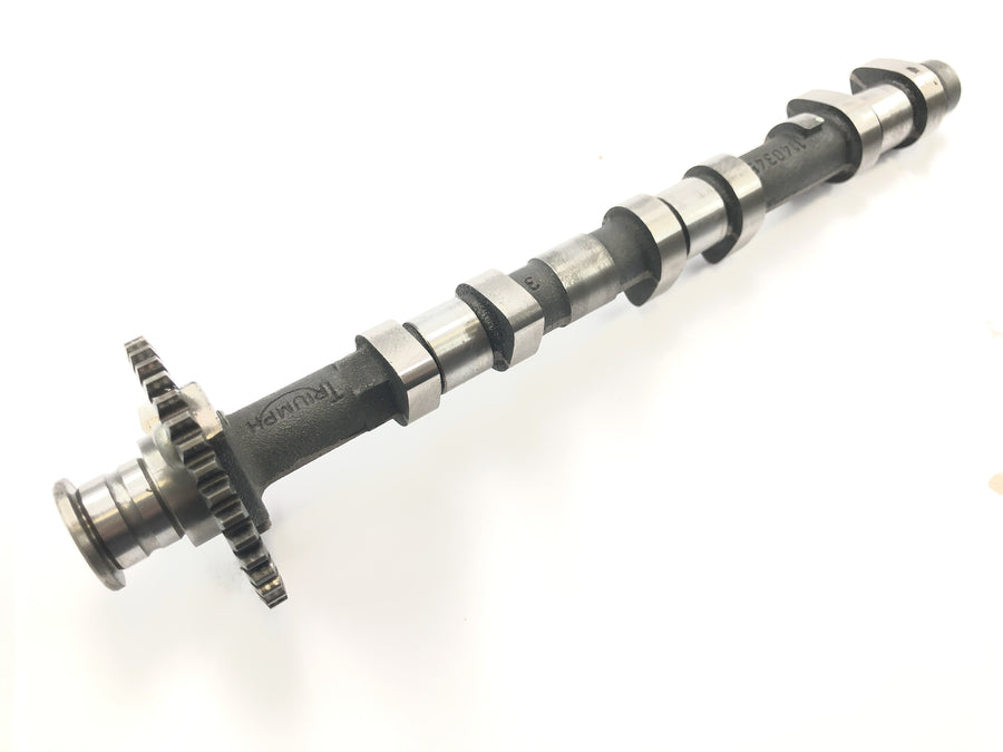 Triumph Adventurer 900 T309RT [1998] - Camshaft exhaust camshaft