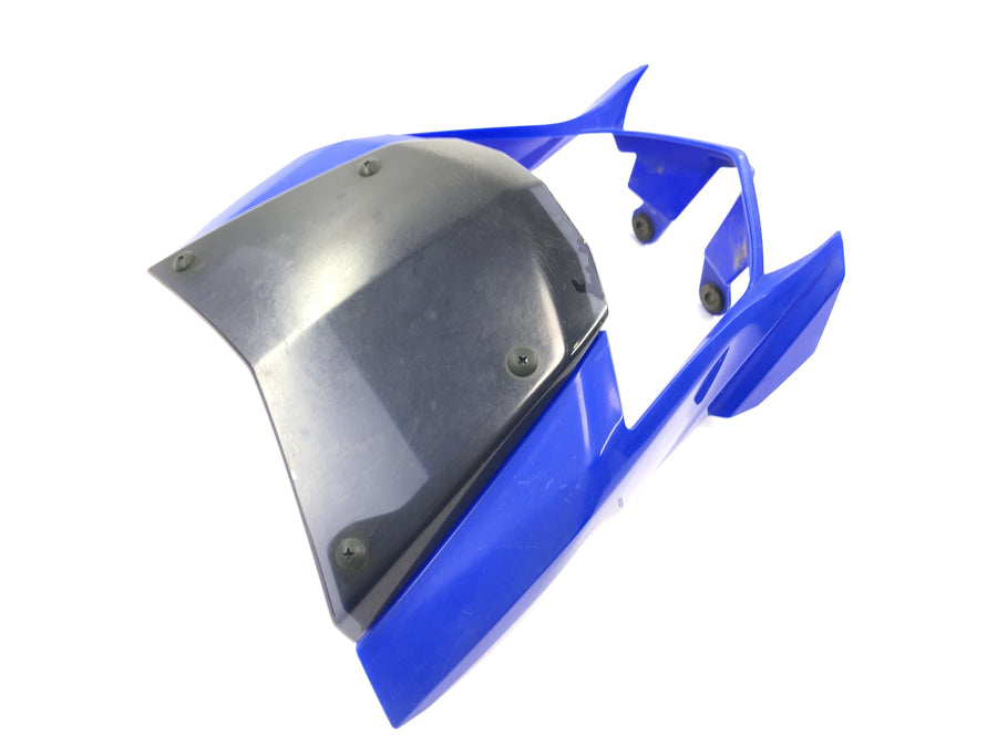 Yamaha WR 125 X DE07 [2010] - Front fairing lamp mask fairing