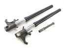 Aprilia RSV4 1000 [2010] - Fork telescopic fork with axle-8