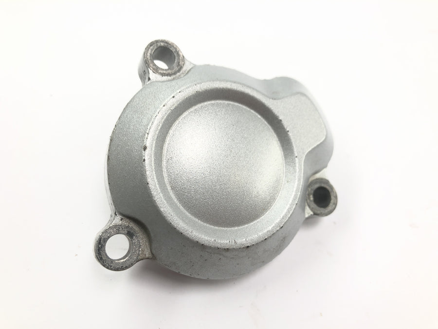 Yamaha WR 125 X DE07 [2010] - Oil filter cover engine cover