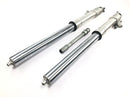 Honda CBR 900 RR Fireblade SC33 [2000] - Fork telescopic fork front fork with axle-5