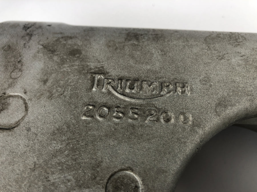 Triumph Speed ​​Triple 955i [1999] - Swingarm Single-sided swingarm