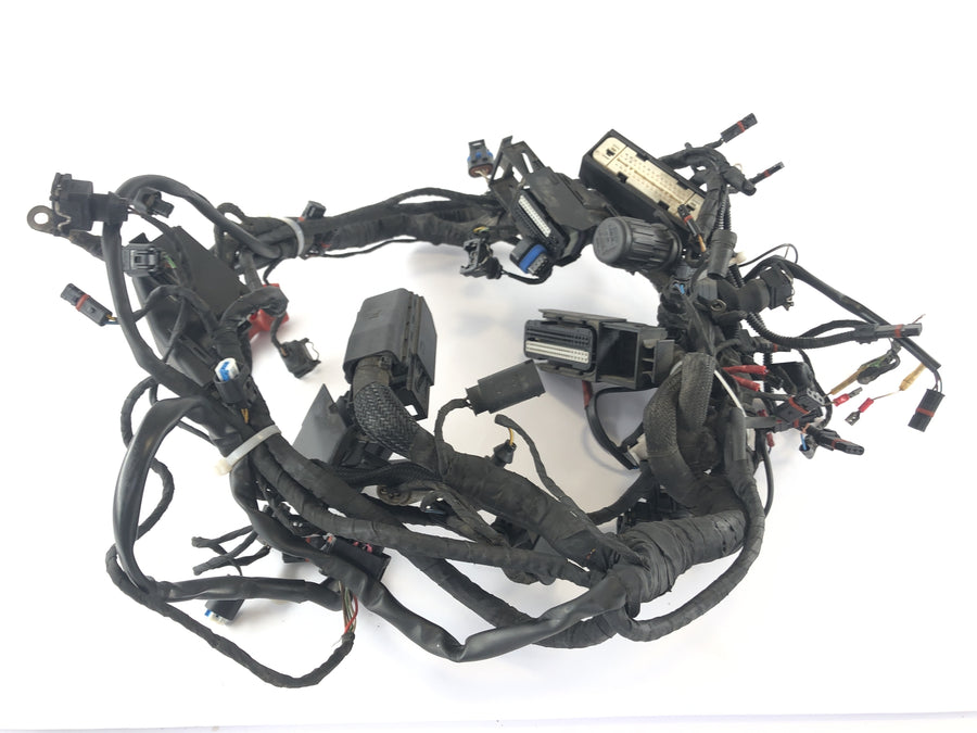 BMW R 1200 R [2007] - Kabelbaum