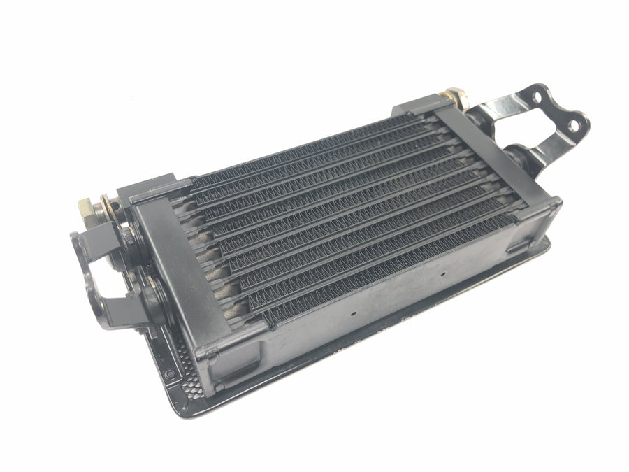 Moto Guzzi V11 Sport [1999] - Radiateur d'huile de refroidisseur d'huile avec grille de protection