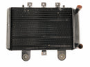 Triumph Thunderbird 900 T309RT [1995] - Radiator water cooler radiator cooling system-4