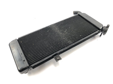 Kawasaki Versys KLE 650 A [2006] - Radiator water cooler cooling system radiator - 0