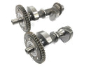 Yamaha TRX 850 4UN [1996] - Balance shaft balance shaft set-4
