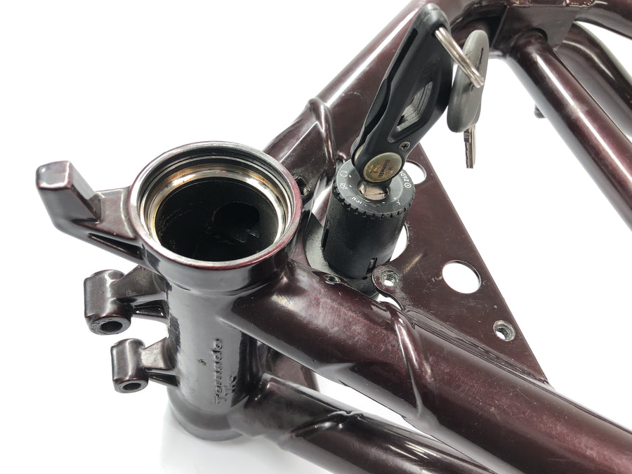 Benelli TNT 1130 [2009] - Frame with papers