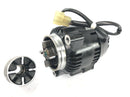 Triumph Adventurer 900 T309RT [1998] - Alternator Generator Alternator 12V Nippondenso-2