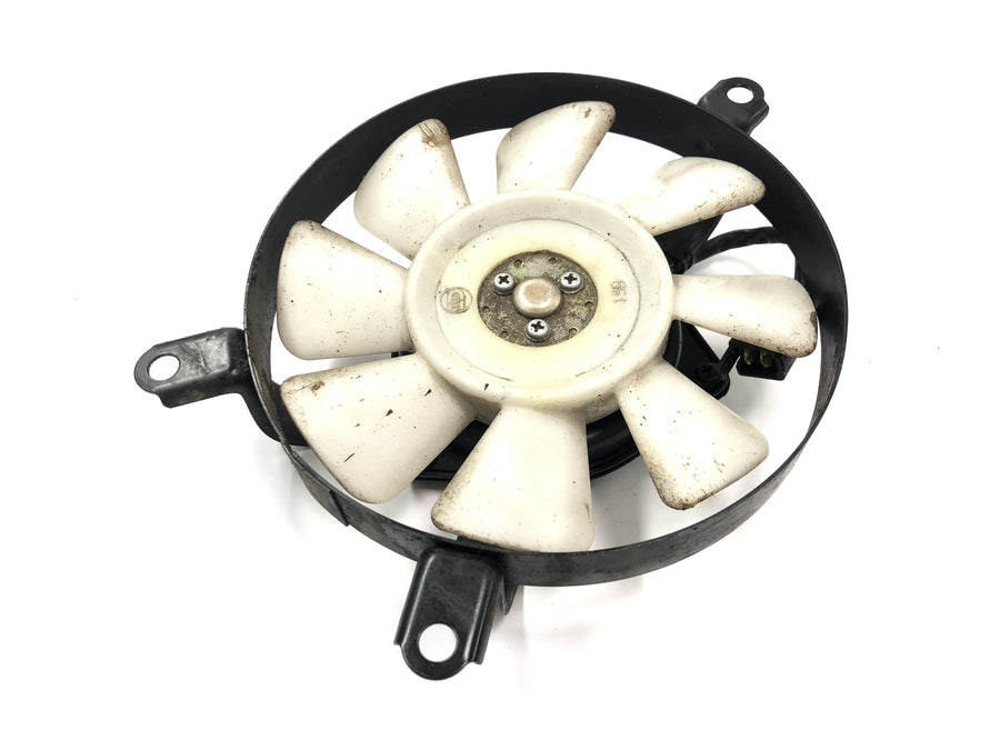 Triumph Speed ​​​​Triple T509 [1998] - Ventilateur de radiateur