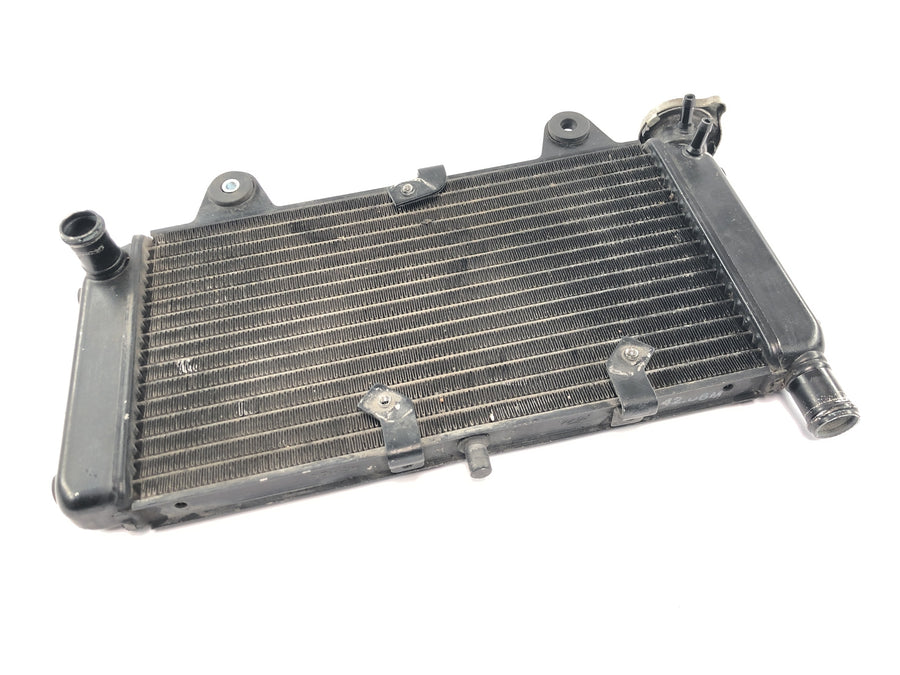 Yamaha MT 03 RM02 [2007] - Kühler Wasserkühler Motorkühler Kühlsystem Radiator
