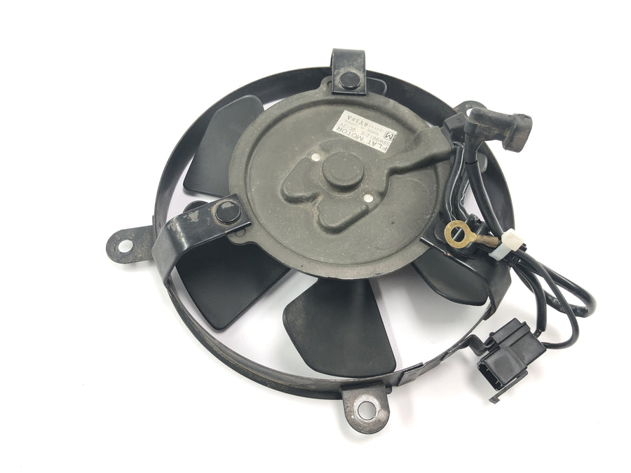 Honda CBR 900 RR Fireblade SC33 [2000] - Radiator fan wheel electric fan