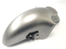 Kawasaki ZX 12 R ZXT20A [2001] - Front fender wheel cover fender-1