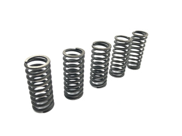 Suzuki RM Z 250 RJ41A [2007] - Kupplungsfeder Federsatz Kupplungdruckfedern