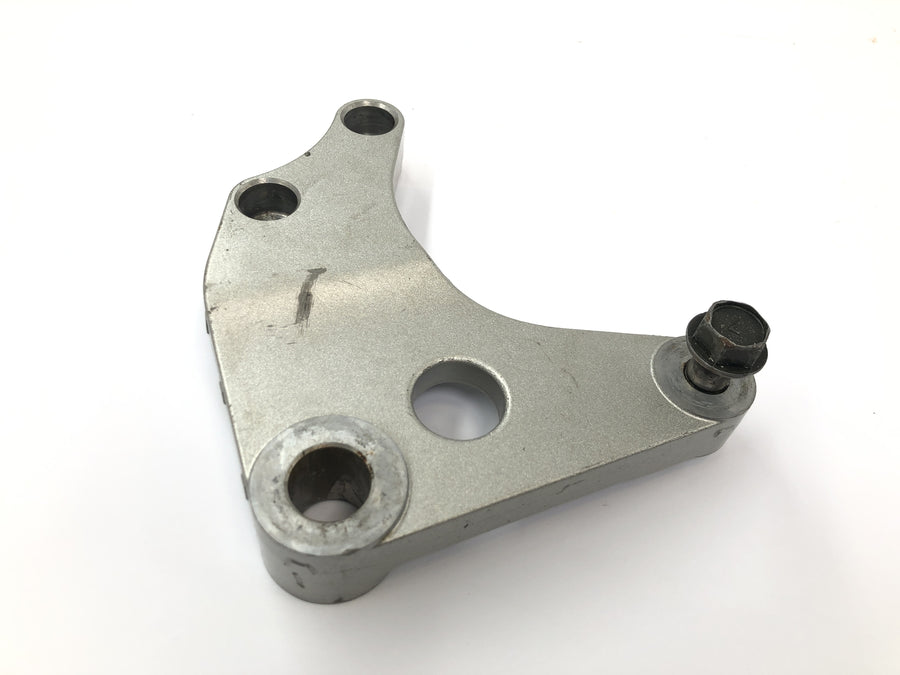 Kawasaki VN 1600 Classic VNT60A [2007] - Bremssattelhalter hinten Bremszangenaufnahme