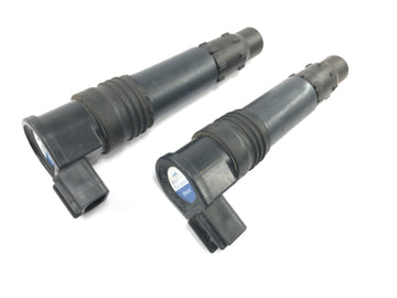 Kawasaki Versys KLE 650 A [2006] - Ignition coil rod ignition coil spark plug connector Denso set - 0