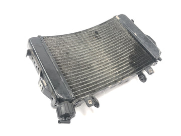 KTM Duke 690 A3 [2012] - Radiator water cooler cooling system radiator front - 0