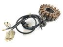 Yamaha XT 660 DM01 [2004] - Stator avec alternateur de ramassage-4