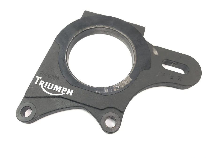 Triumph Speed ​​Triple T509 [1998] - Anchor plate brake caliper bracket