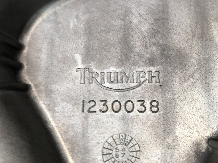 Triumph Daytona 900 T300 [1996] - Oil sump engine cover