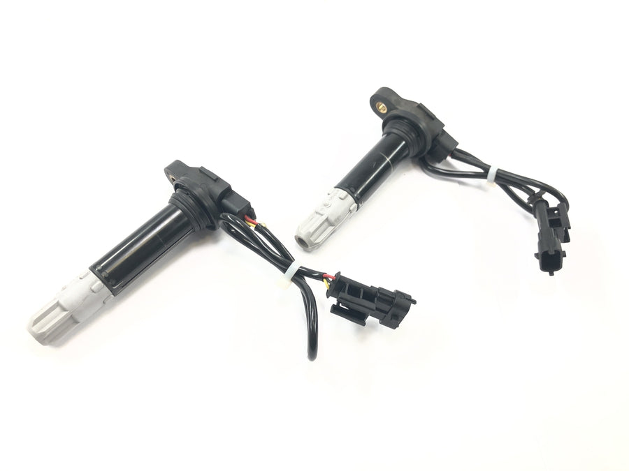 Ducati Multistrada 1200 S Touring [2009] - Ignition coil rod ignition coil set