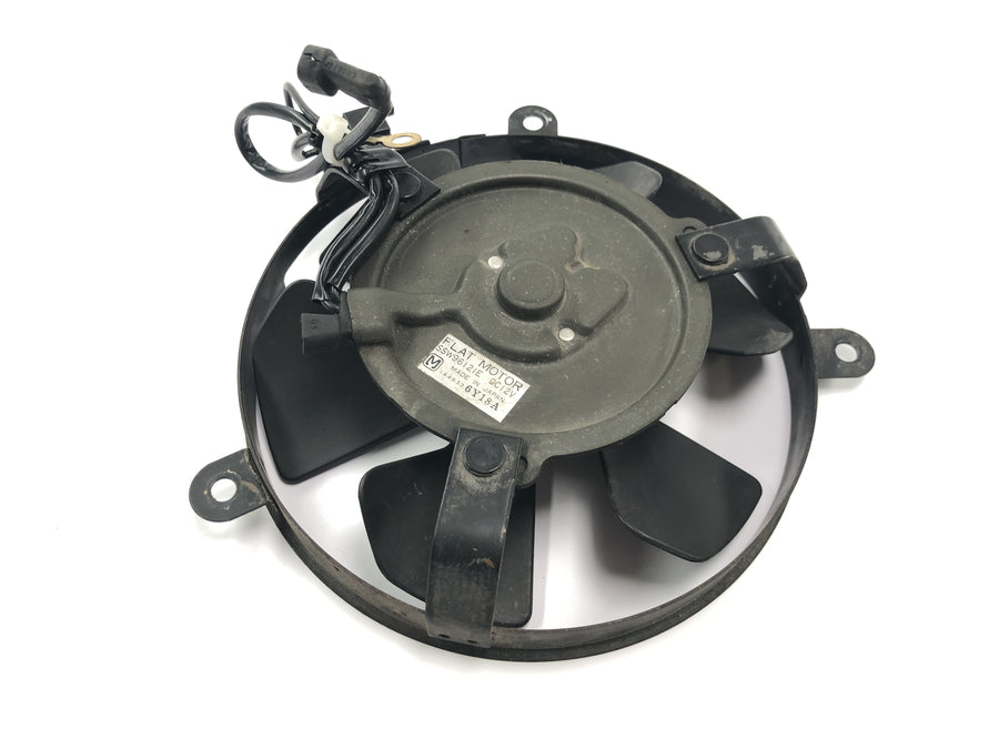 Honda CBR 900 RR Fireblade SC33 [2000] - Radiator fan wheel electric fan