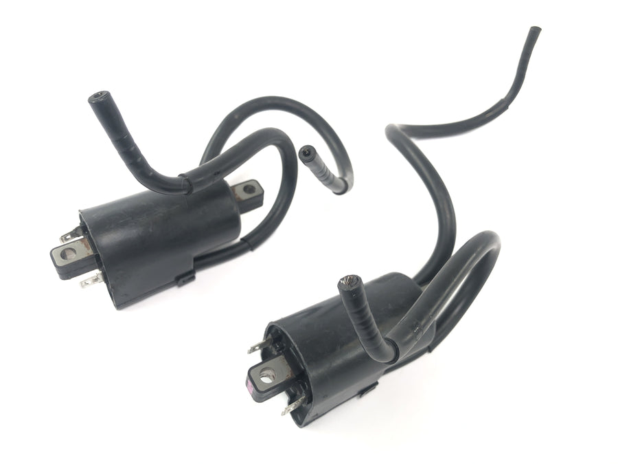 Yamaha YZF R1 RN01 [1998] - ignition coil set