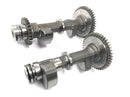Yamaha TRX 850 4UN [1996] - Balance shaft balance shaft set-2