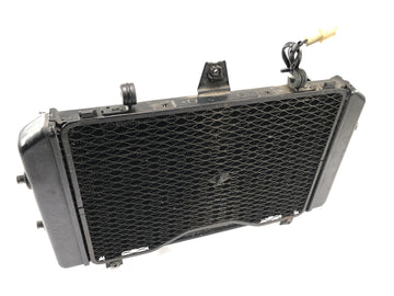 KAWASAKI ZRX 1200 S ZRT20A [2002] - refroidisseur de radiateur de refroidisseur de moteur frais