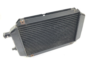Kawasaki VN 800 Classic [2000] - Radiator Water Cooler - 0