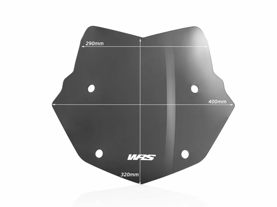 BMW R 1200 GS [WRS] – Windschild