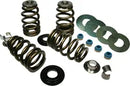 Buell S 1 Lightning [1997, 1999] - Endurance Beehive® valve springs with titanium spring plates - picture 4