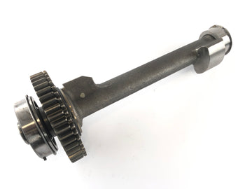 Triumph Street Triple R 675 D67LD [2008] - Balance shaft - 0