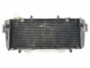 Aprilia RSV 1000 RR Factory [2009] - Radiator Water Cooler-5