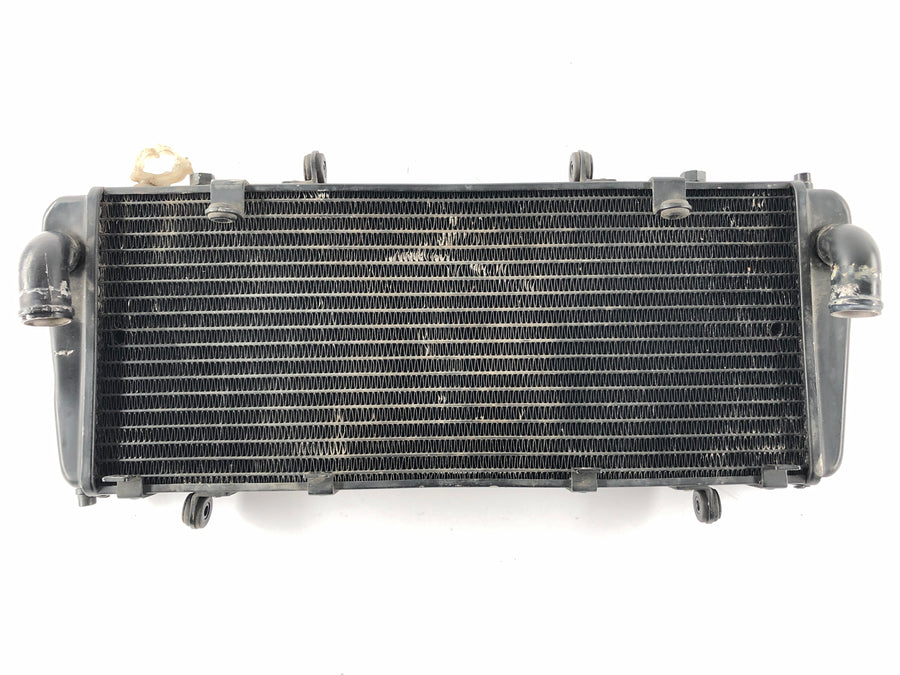 Aprilia RSV 1000 RR Factory [2009] - Radiator Water Cooler
