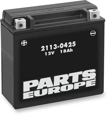 California 1100 [PARTS EUROPE] – Wartungsfreie AGM-Hochleistungsbatterie