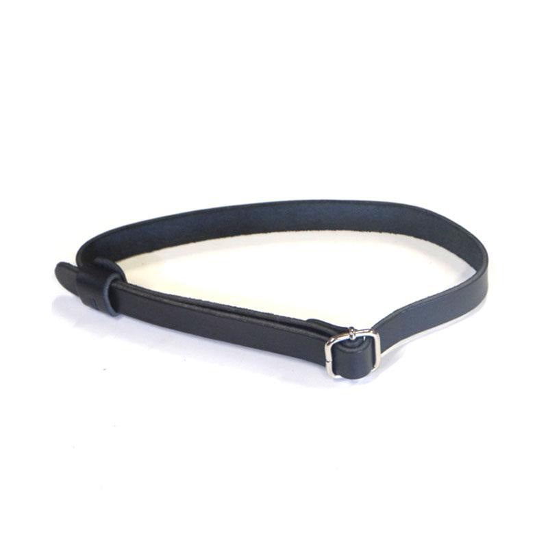 BMW R 1150 GS [1999-2004] - Lederbänder für Gepäckträger