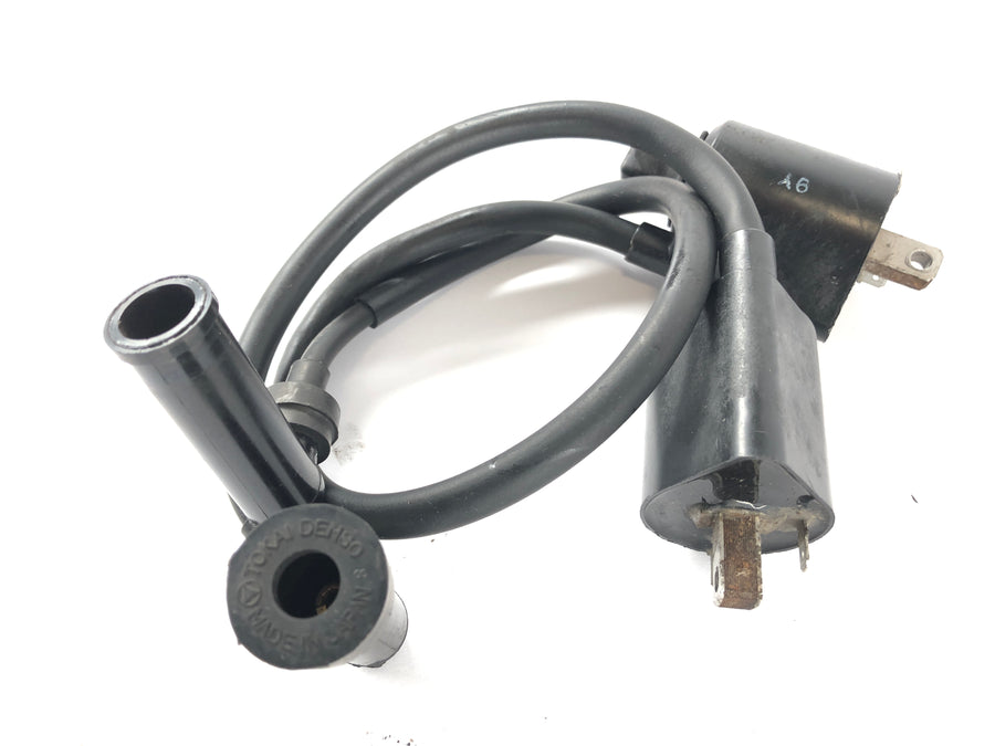 Yamaha XV 750 Virago [1991] - Ignition coils with plug set