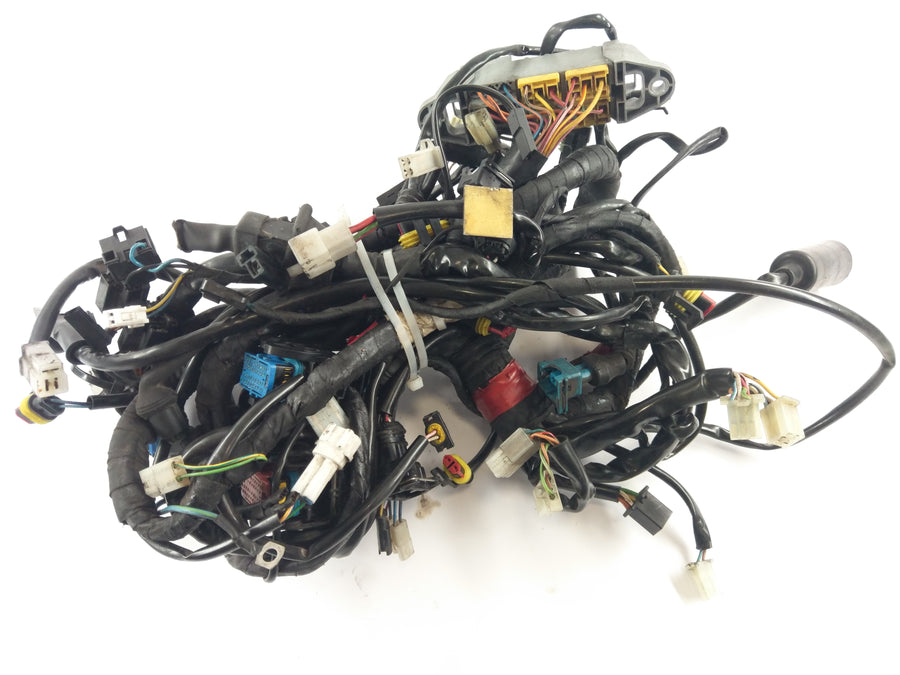 Moto Guzzi Stelvio 1200 4V [2008] - Wiring harness