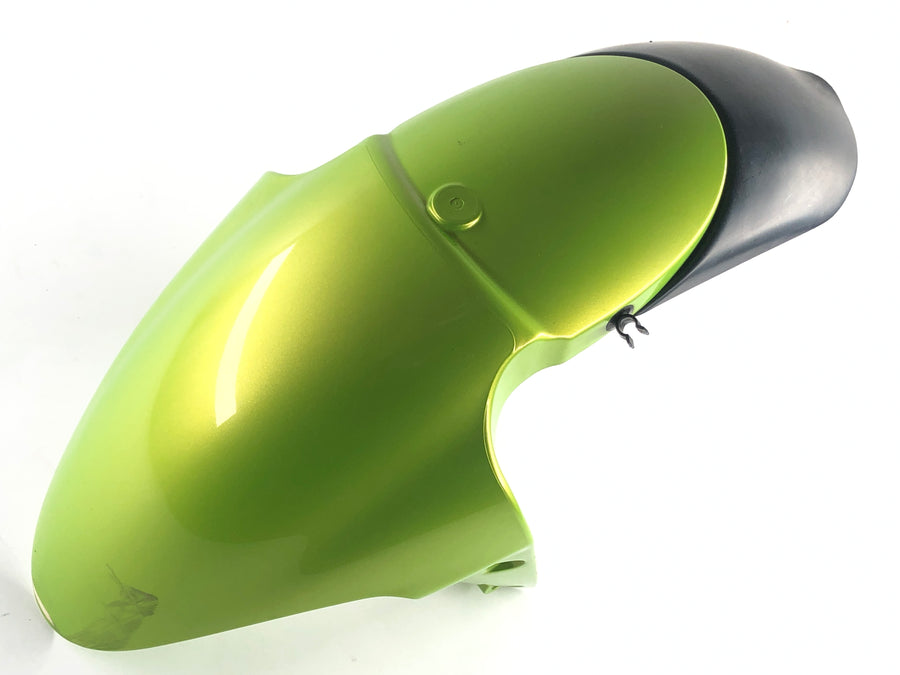 Triumph Street Triple R 675 D67LD [2008] - Front fender