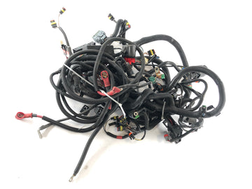 Can Am Spyder SM5 [2009] - Wiring harness - 0