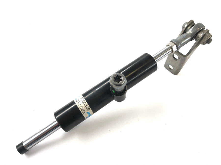 BMW K 1300 R [2010] - Steering damper