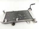 Yamaha XT 660 X DM01 [2006] - Radiator Water Cooler-1
