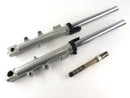 Triumph Sprint 955i RS T695 [2001] - Fourche Fourche télescopique avec axe-1